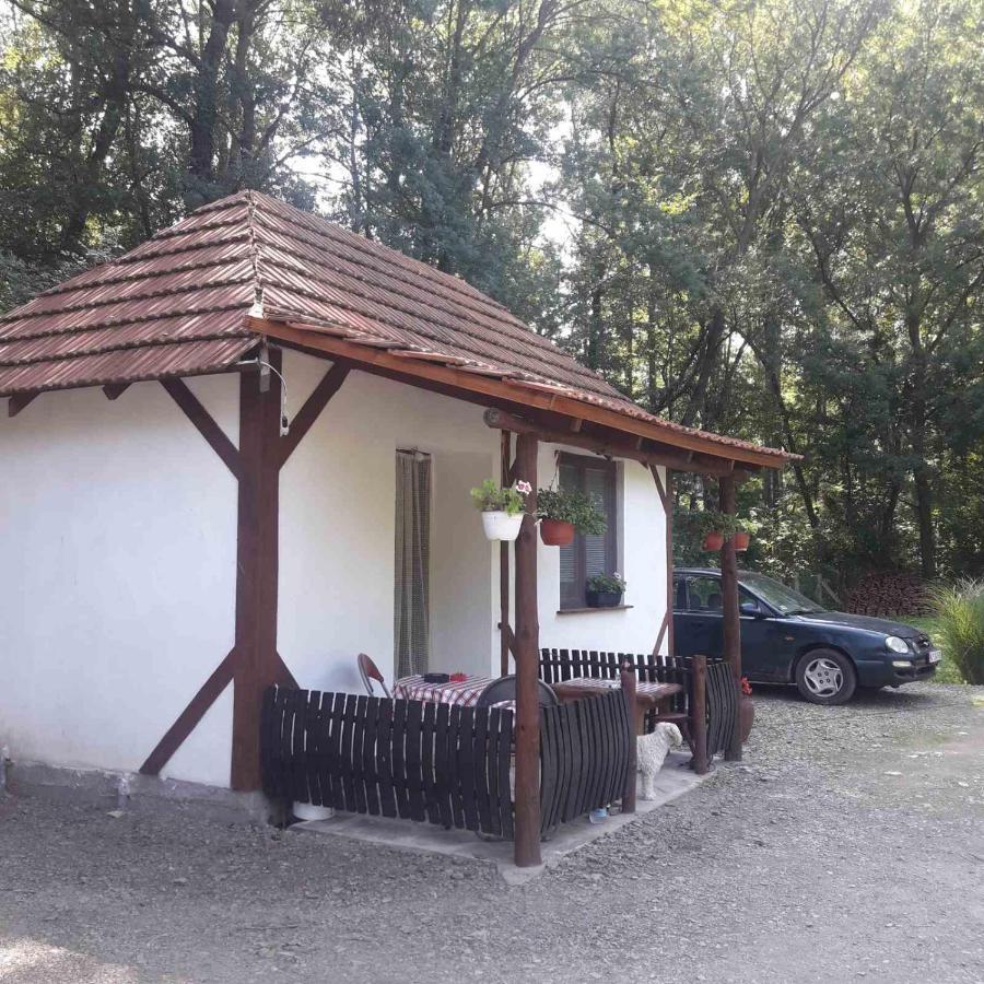 Sljivik Vendégház Ni Kültér fotó