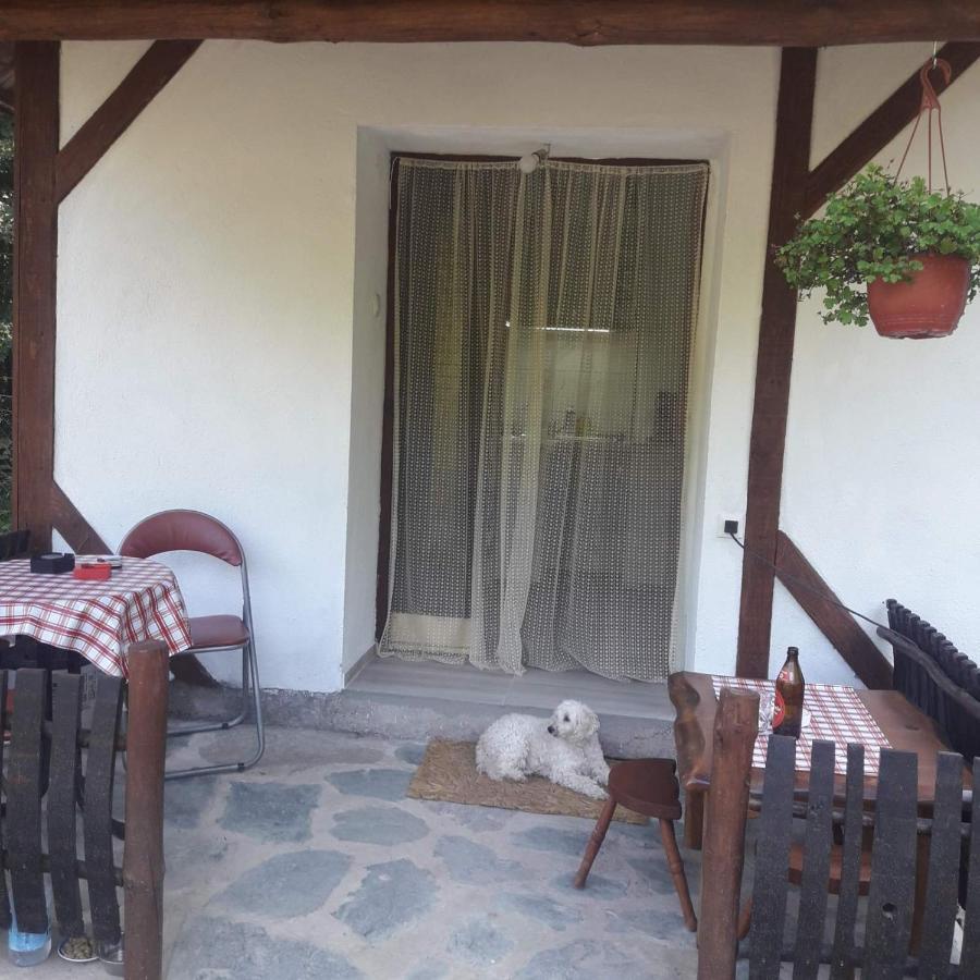 Sljivik Vendégház Ni Kültér fotó